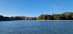 RUTA EN BARCA POR EL URDAIBAI